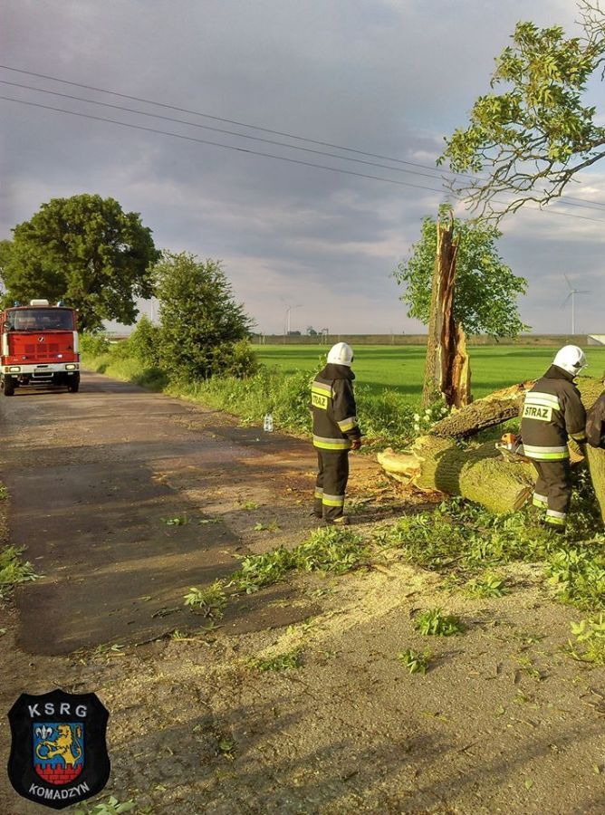 strażacy w akcji usuwanie powalonego drzewa