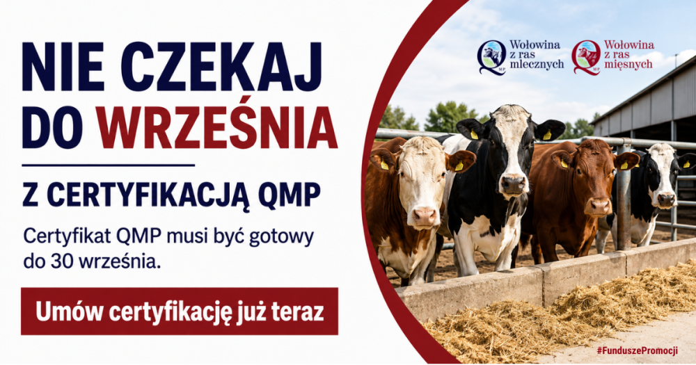 Baner-QMP-certyfikacja